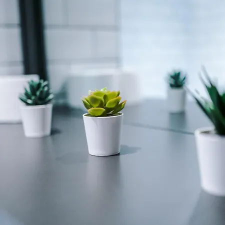 2 King Size Beds In Manhattan Styled Oversize 利兹